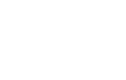 American Logo